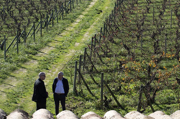 The author discusses Rioja terroir with Juan Carlos López de Lacalle in Artadi’s El Pison vineyard.