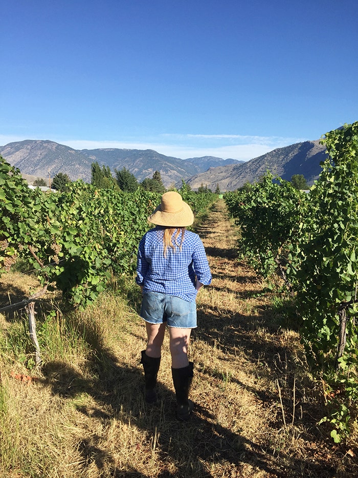 Standing in an overgrown vineyard