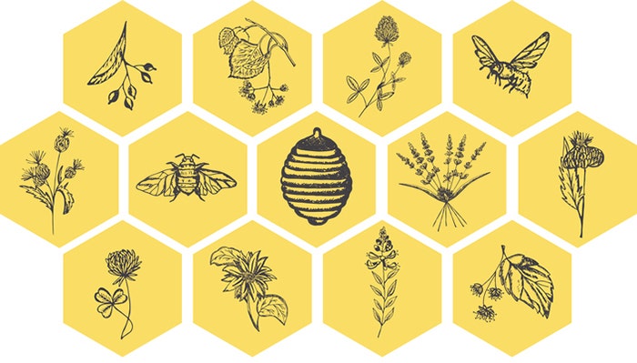 Bees, honey and flowers graphic