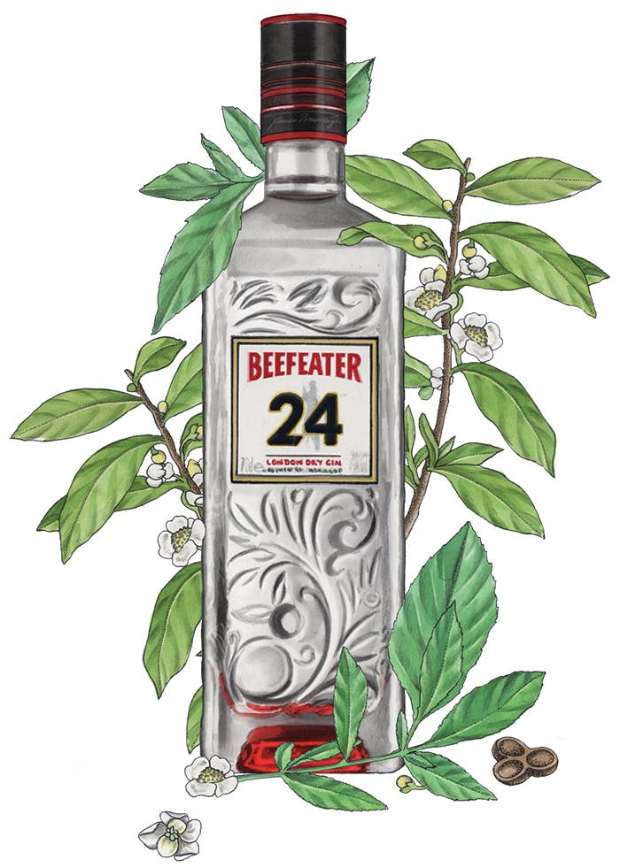 Beefeater 24 gin bottle illustration
