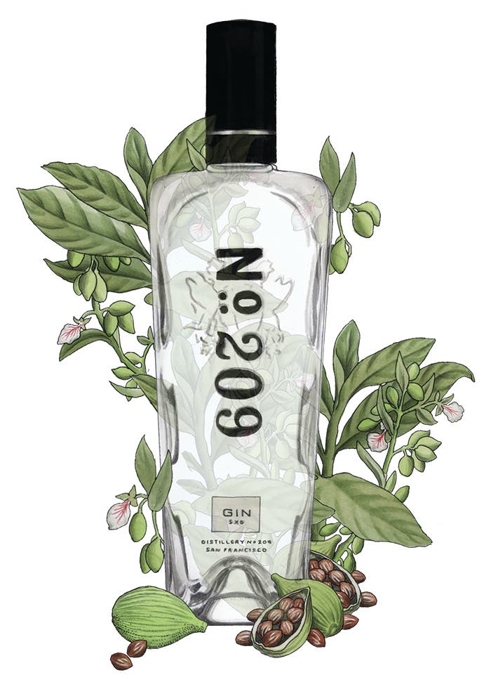 No. 209 gin bottle illustration