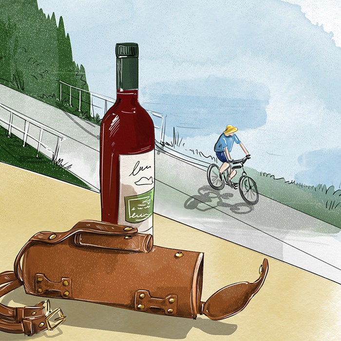 A leather wine carrier to mount on a bicycle.
