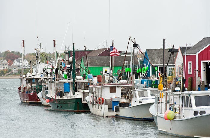 Lobstering boats tied to a pier in Portland, Maine.