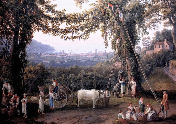 Jacob Philipp Hackert Autumn Wine Harvest with View of Sorrent, the Gulf and the Islands