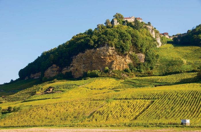 Vineyards in the Jura region, one spot in France for value Pinot Noir
