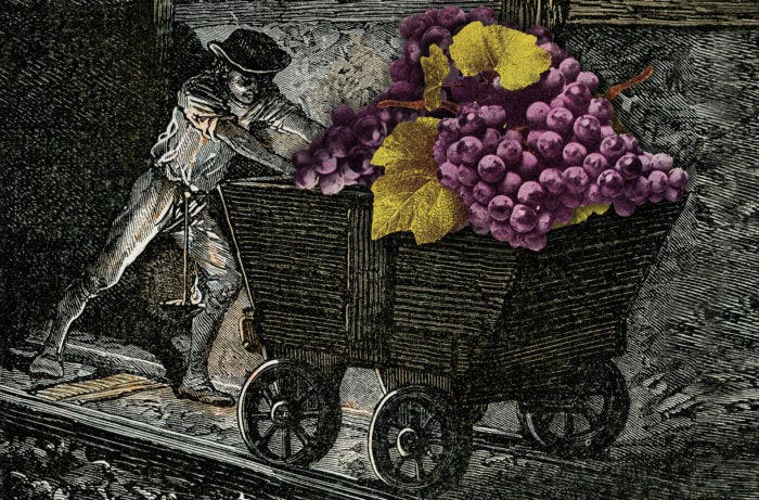 Man underground stealing grapes in an old mine cart
