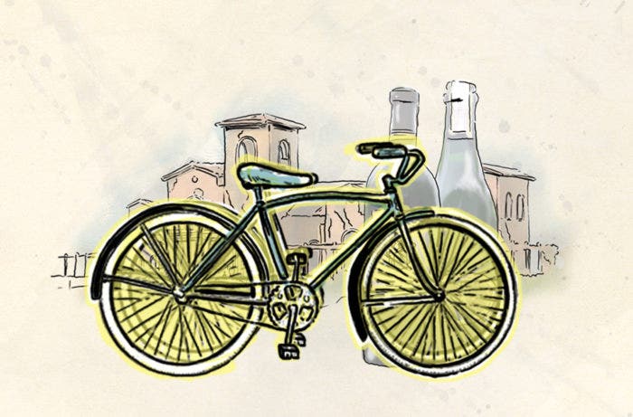 Bike through wine country