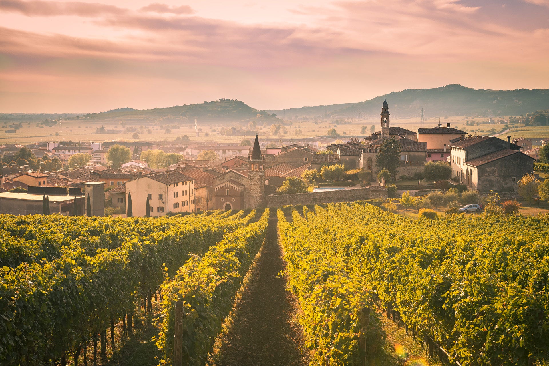 Vineyards in foreground, hazy Italian town in background