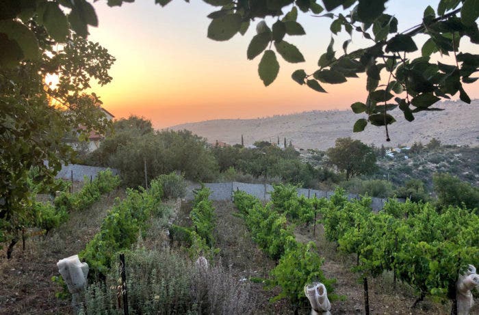 Rosenfeld Winery in Nataf, Israel / Getty