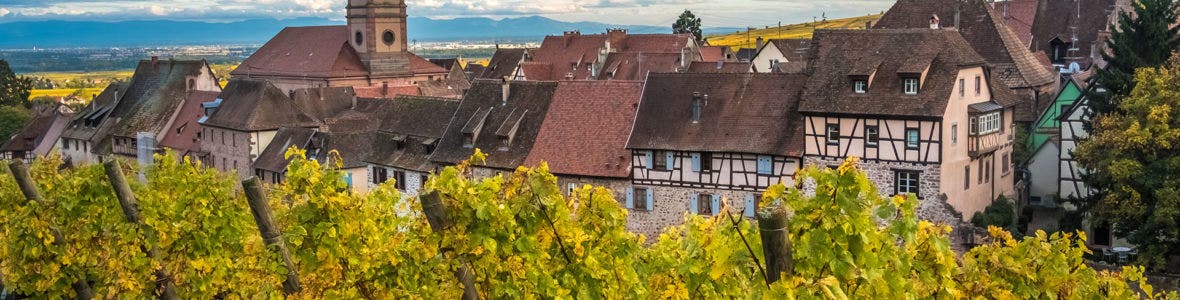 Vineyards in Alsace, France