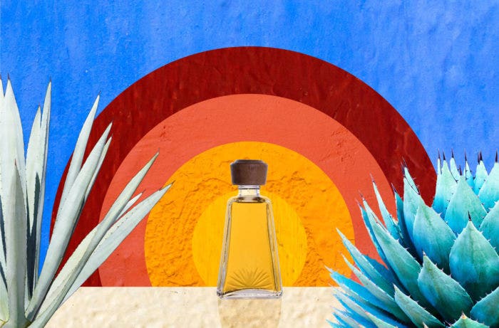 Mezcal bottle in front of an illustrated sun, agave to the sides