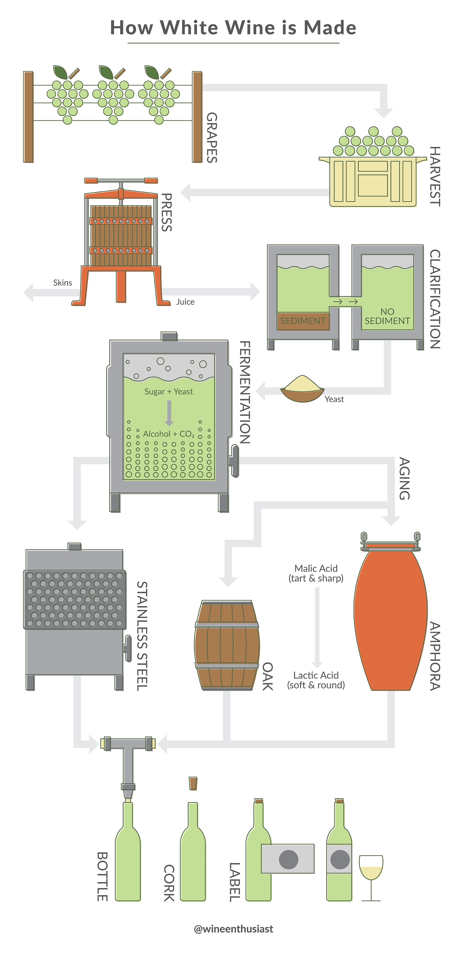Infographic of the steps that going into how white wine is made