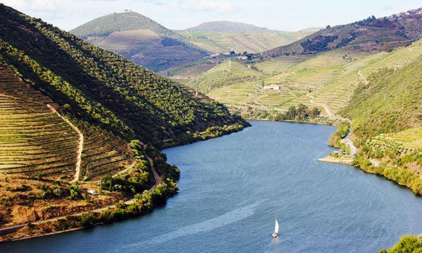 Sailboats on the Douro River in Portugal