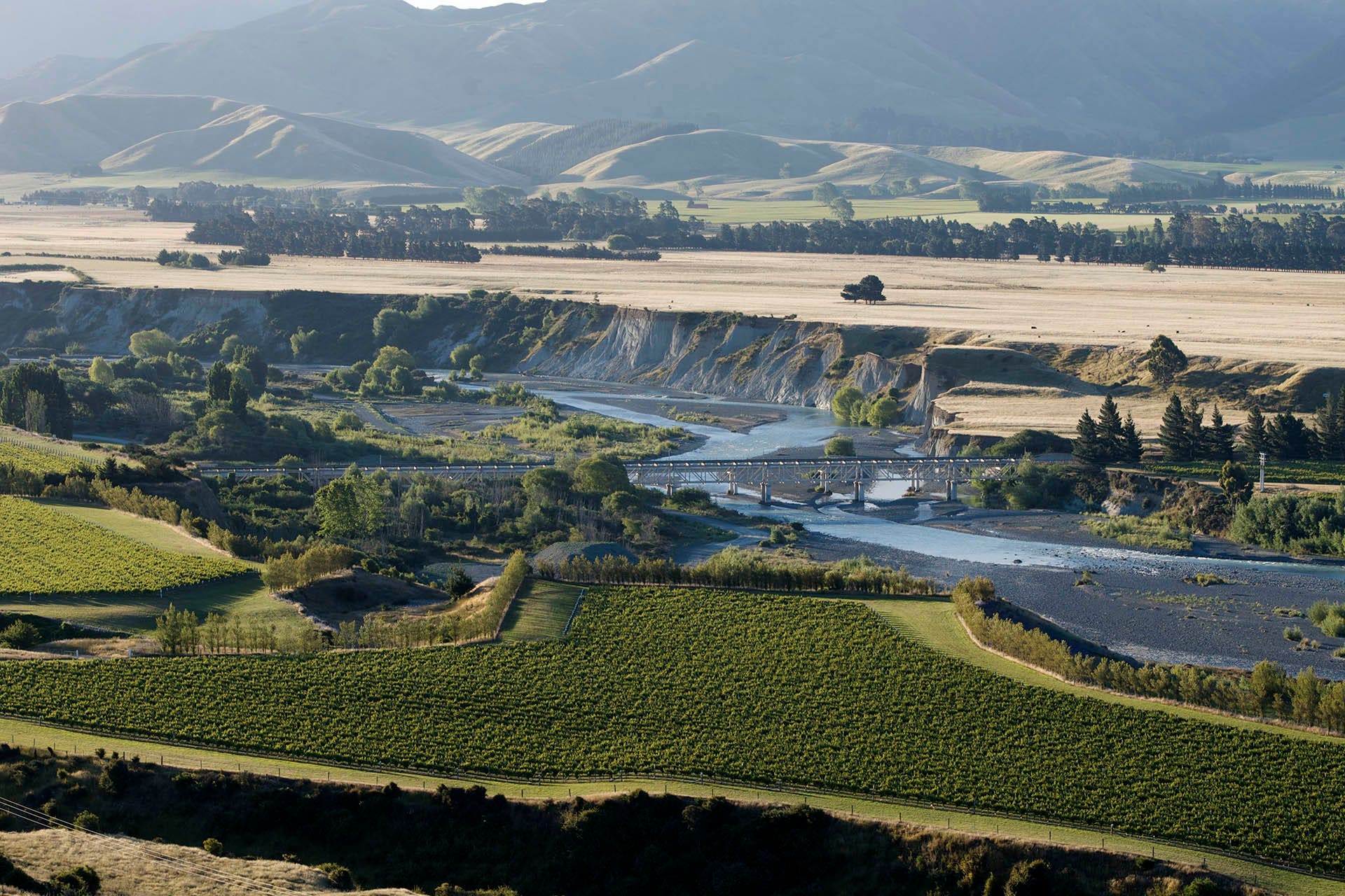 Ariel photo of the Marlborough wine region / Photo by Peter Burge