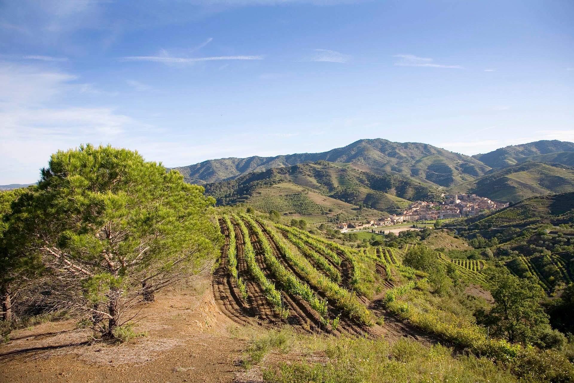 The wine region of Priorat with the town of Porrera in distance