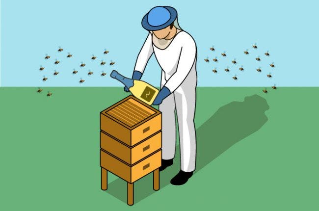 Illustration of beekeeper