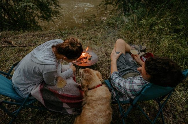 Two people camping with their dog