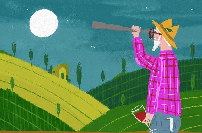 Illustration of man in vineyard holding wine, looking at moon with telescope