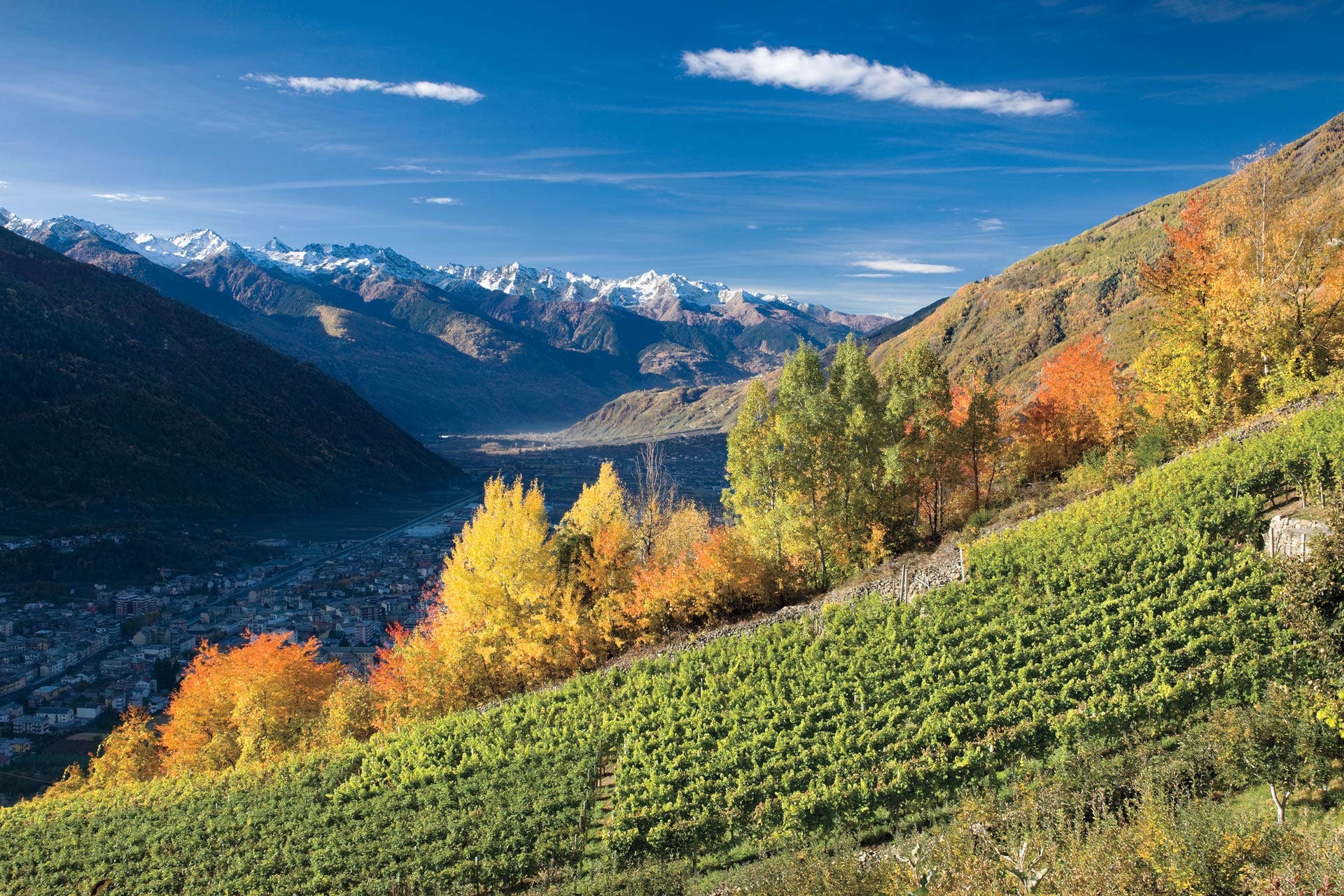 Tirano Landscape with vineyards and mountains