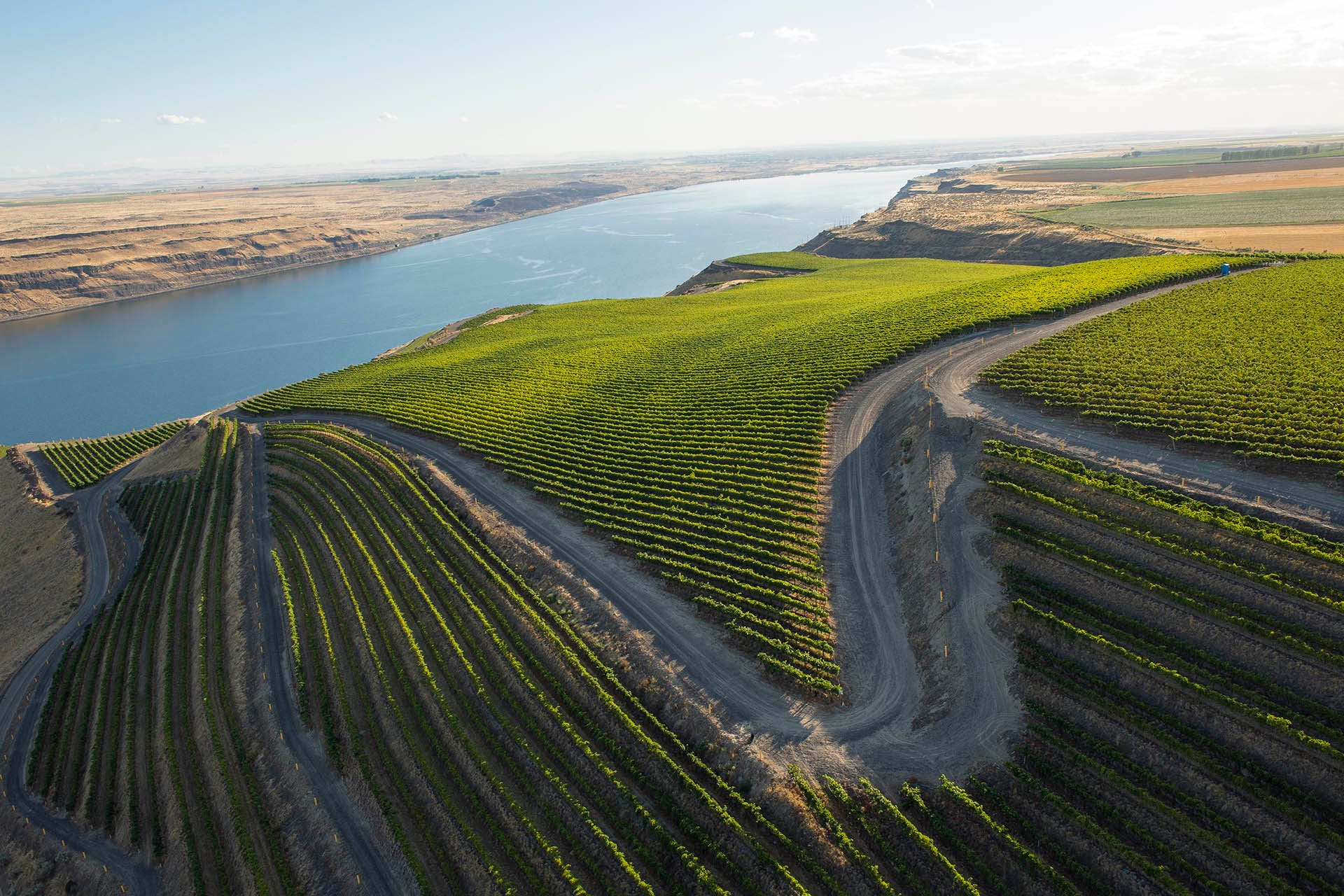 Aerial view over Benches Vineyard, Horse Heaven Hills AVA, part of Washington's larger Columbia Valley AVA
