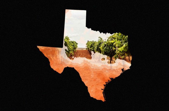A cut of of texas with a vineyard inside being covered by a heatwave