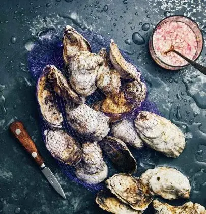 Shell Shocked: Why It’s More Important Than Ever to Consider the Oyster
