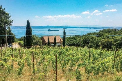 View of Lake Bolsena from the 