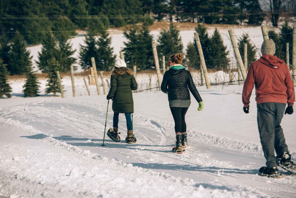 Guided Vine to Snow Shoe Tour